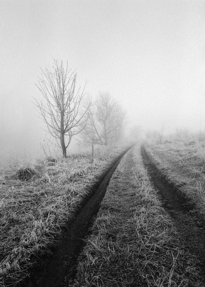 Photograph by Сергей Дивид