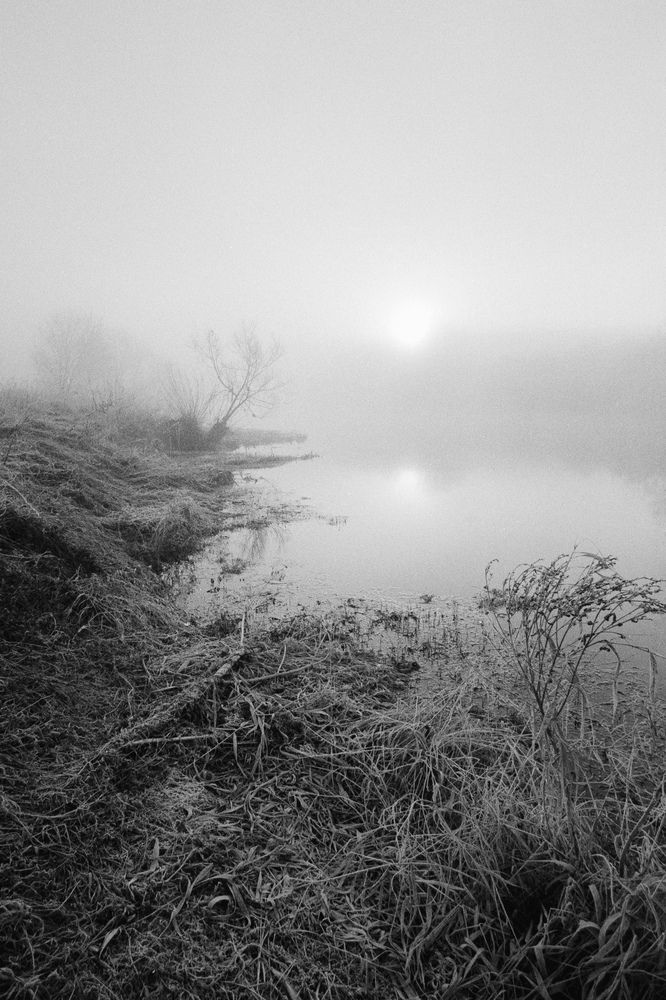 Photograph by Сергей Дивид