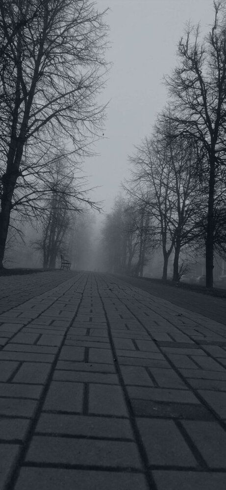 Photograph by Alexey Zimushin