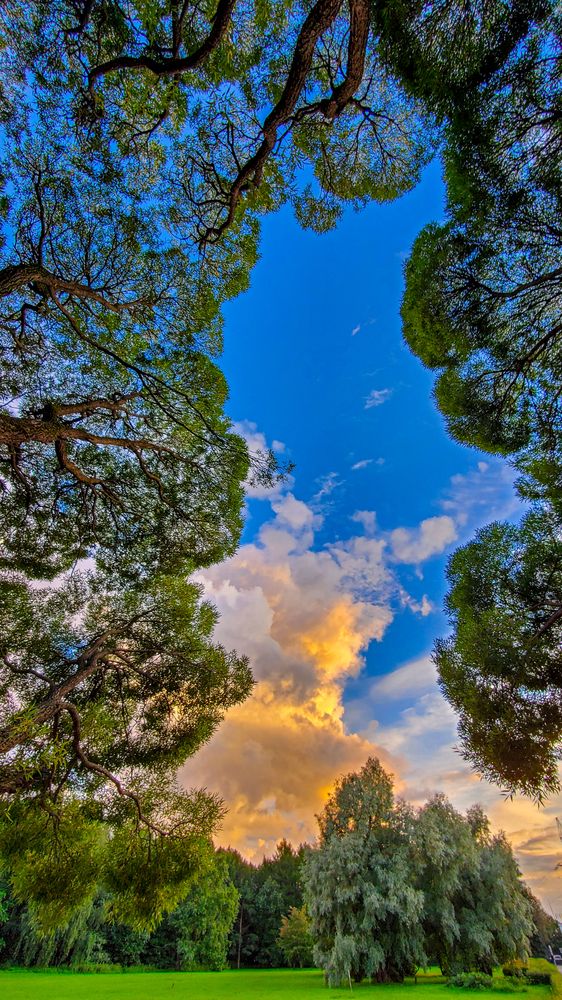 Photograph by Артём Быхалов