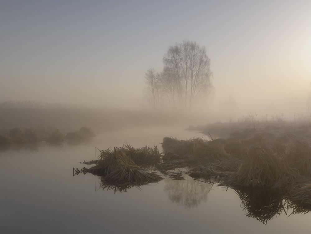 Фотография автора Бонина Ольга