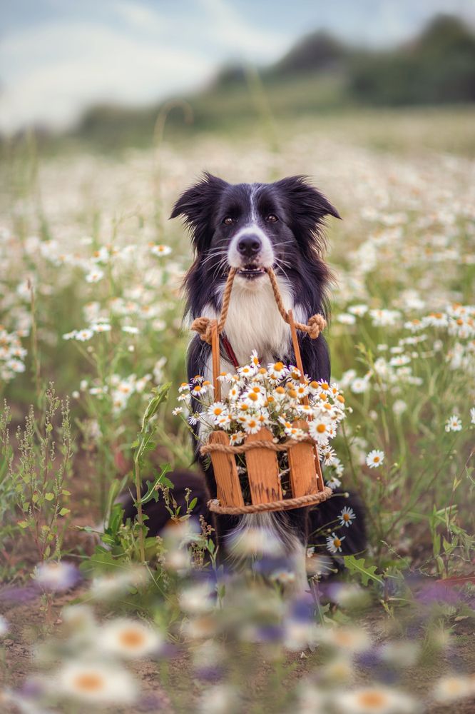 Photograph by Татьяна Муравкина