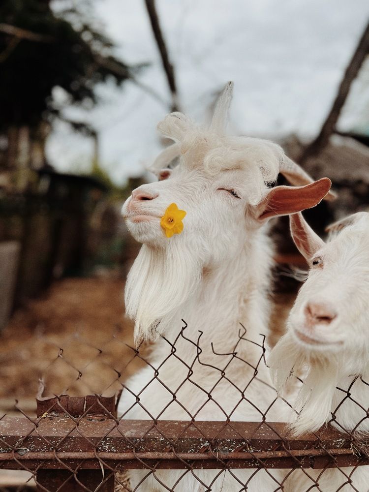 Photograph by Яна Сел