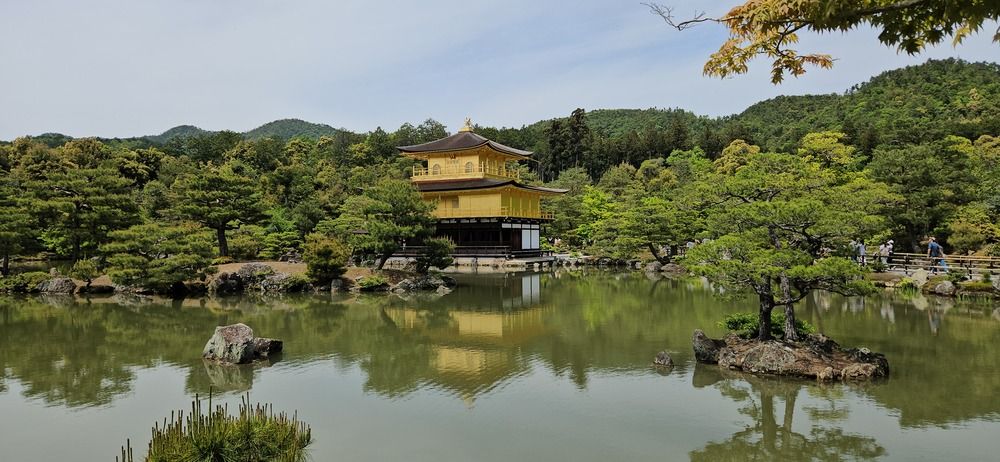 Photograph by Зина Хаимова