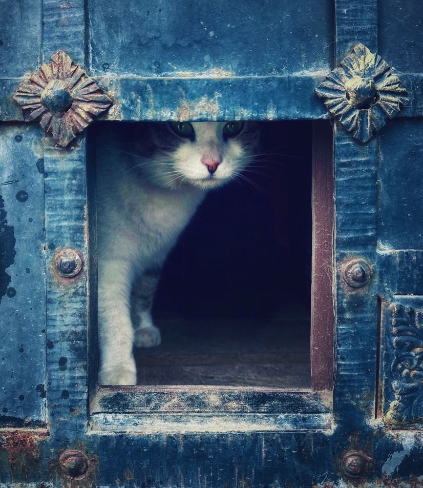 Photograph by Ксения Гулькова