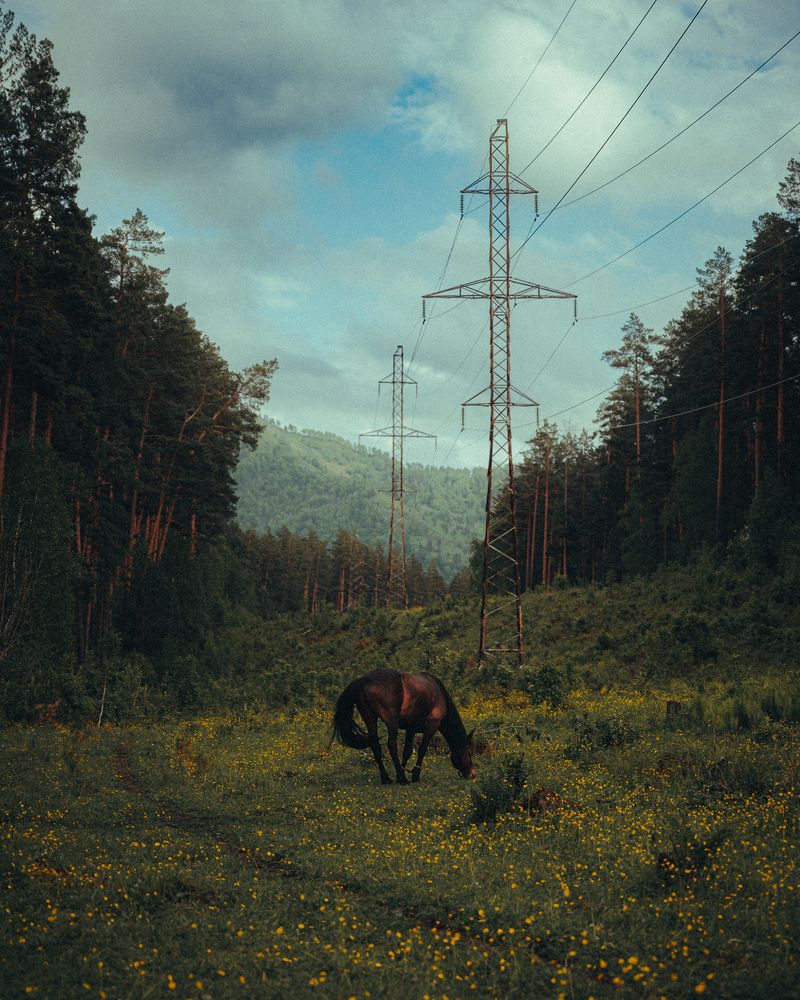 Photograph by Alexey Bachin