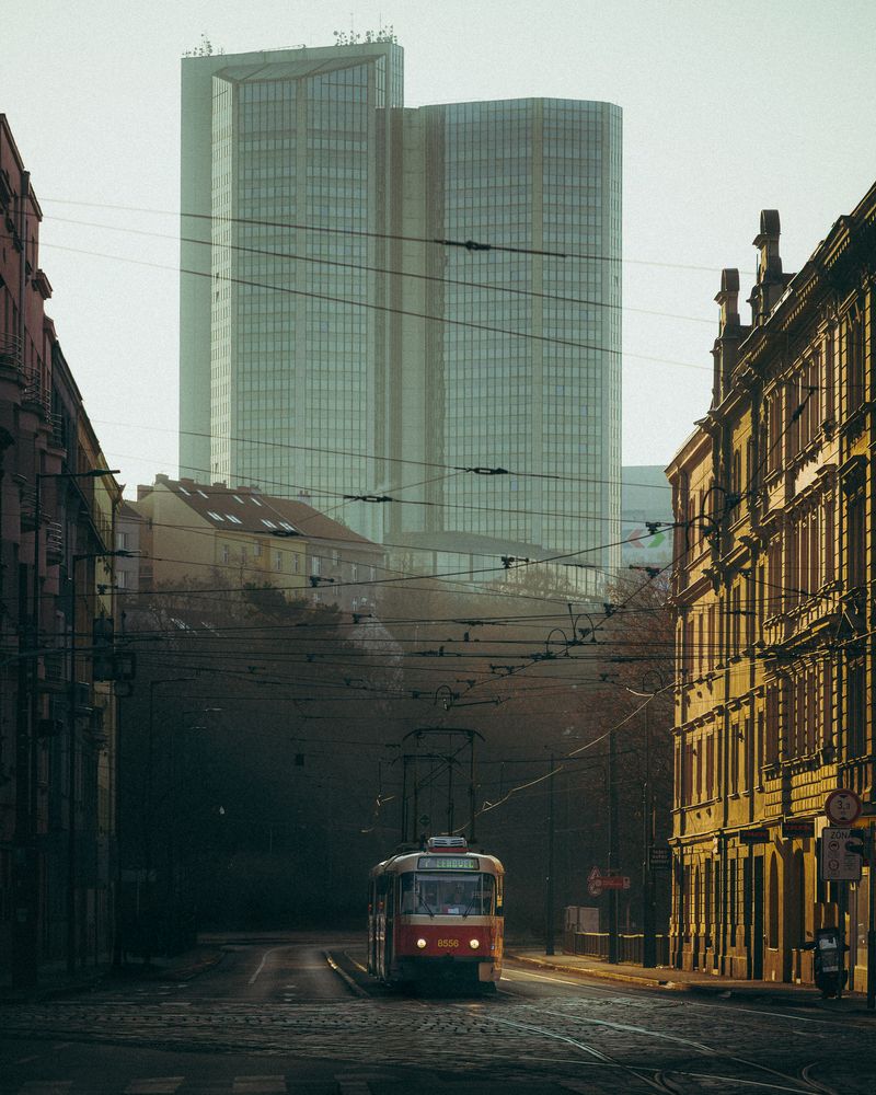In the shadow of a giant