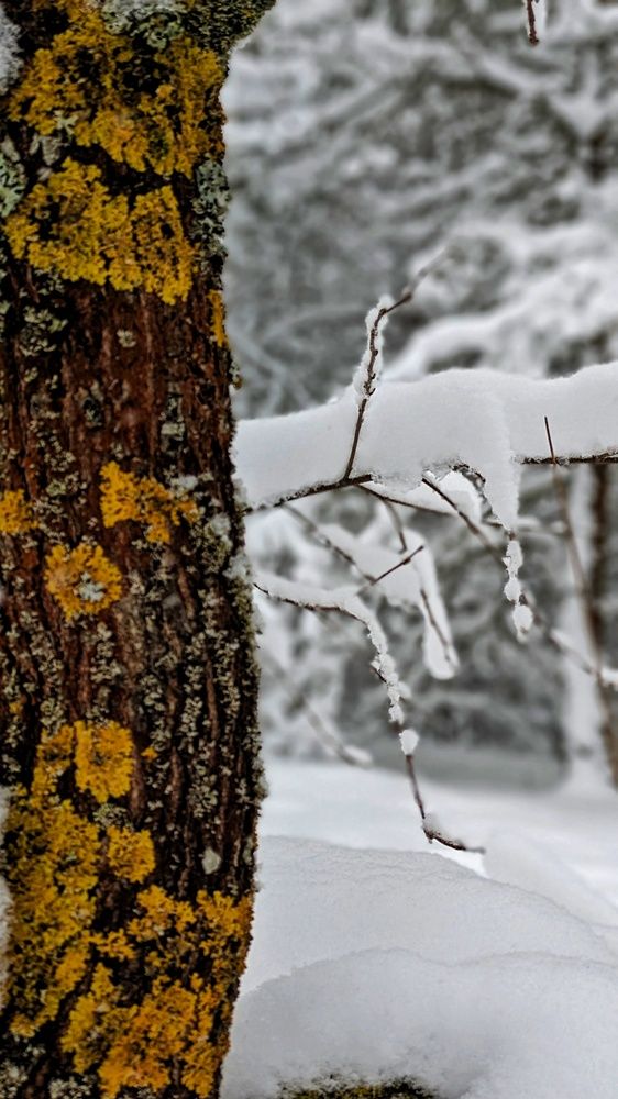 Photograph by Ольга и Андрей Трухан