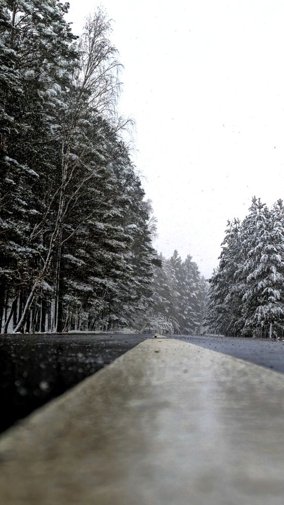 Photograph by Ольга и Андрей Трухан