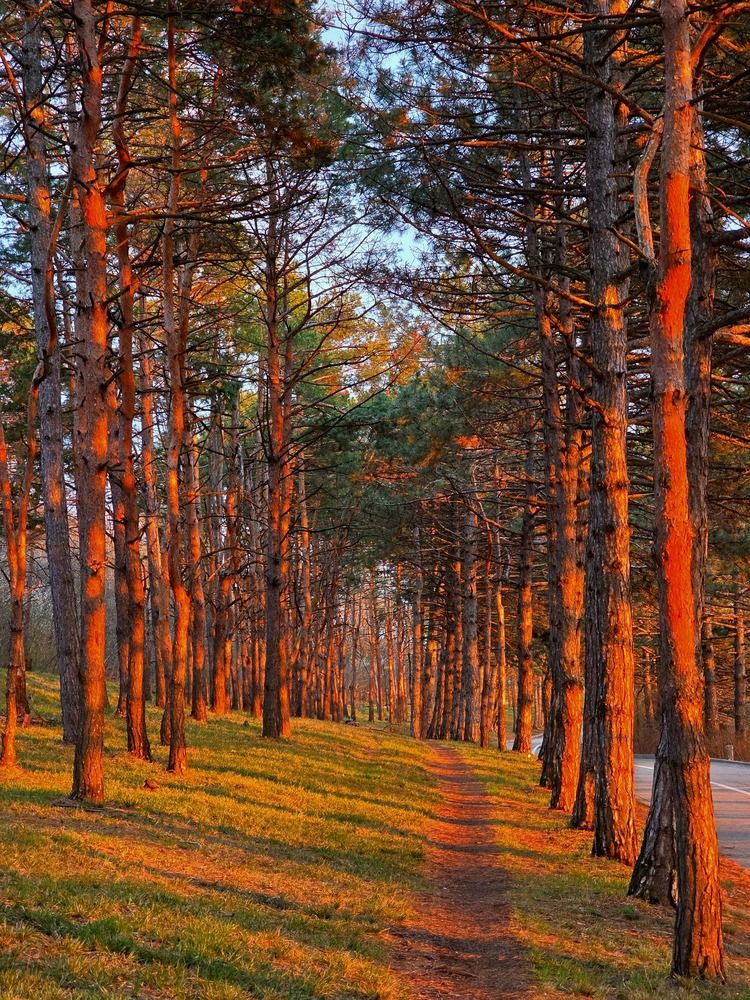 Photograph by Лидия Лащева