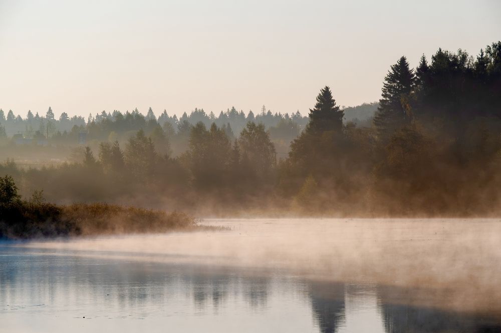 Photograph by Михаил Косолапов