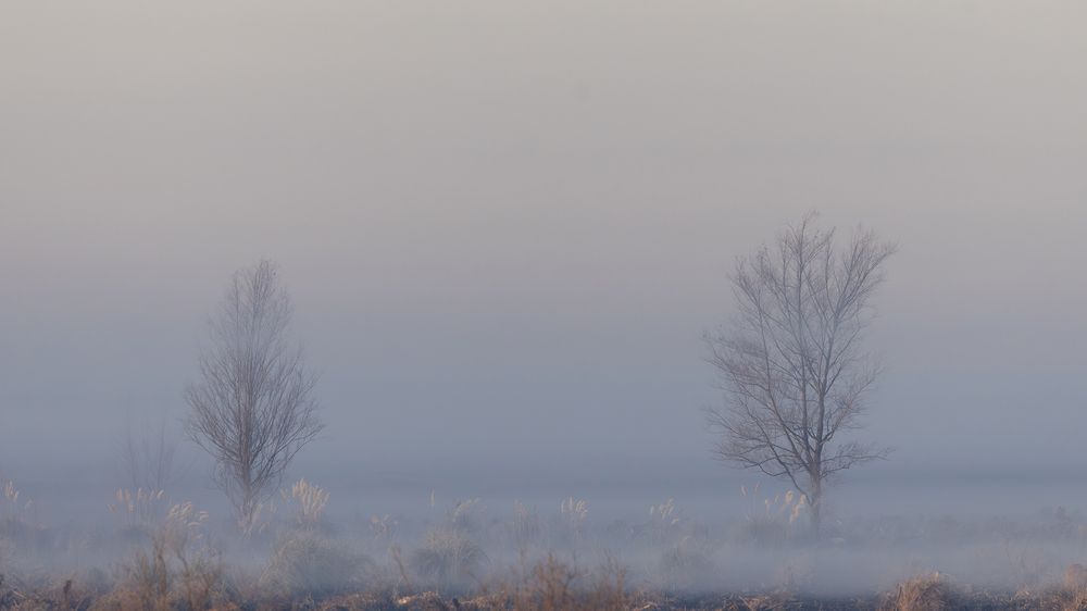 Photograph by Esteban Argerich