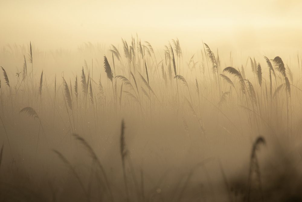 Photograph by Esteban Argerich