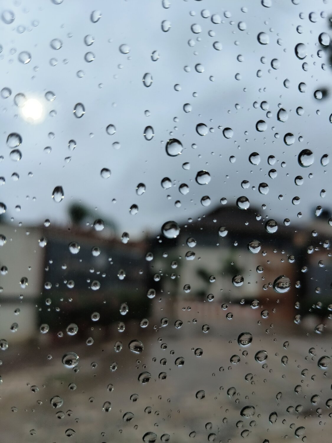Photo #12121134