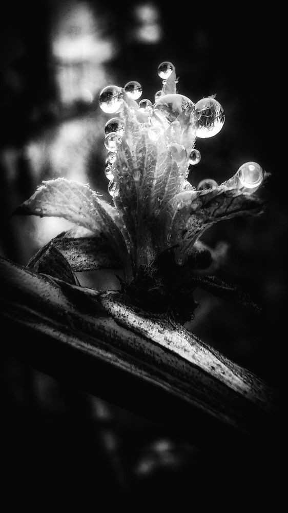 Photograph by Алиса Малая