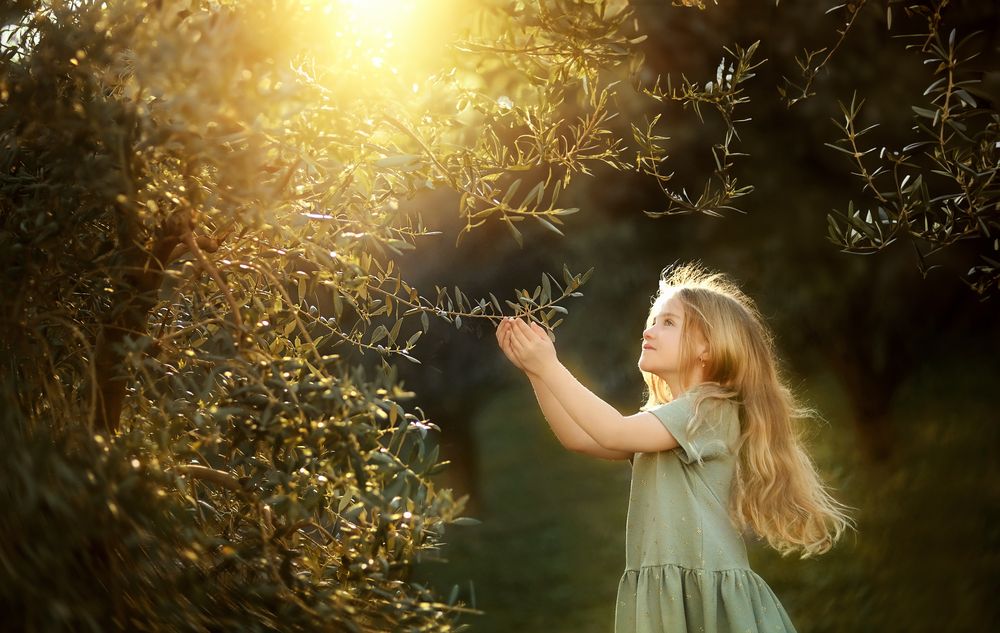 Photograph by Iuliia LIPIAINEN