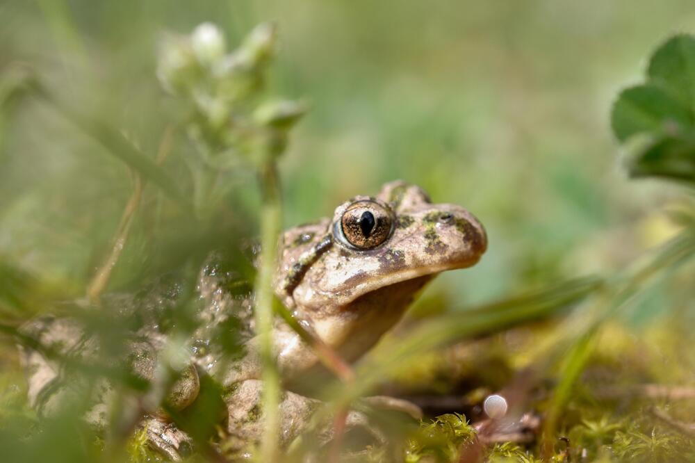 Photograph by David Gregori Vicens