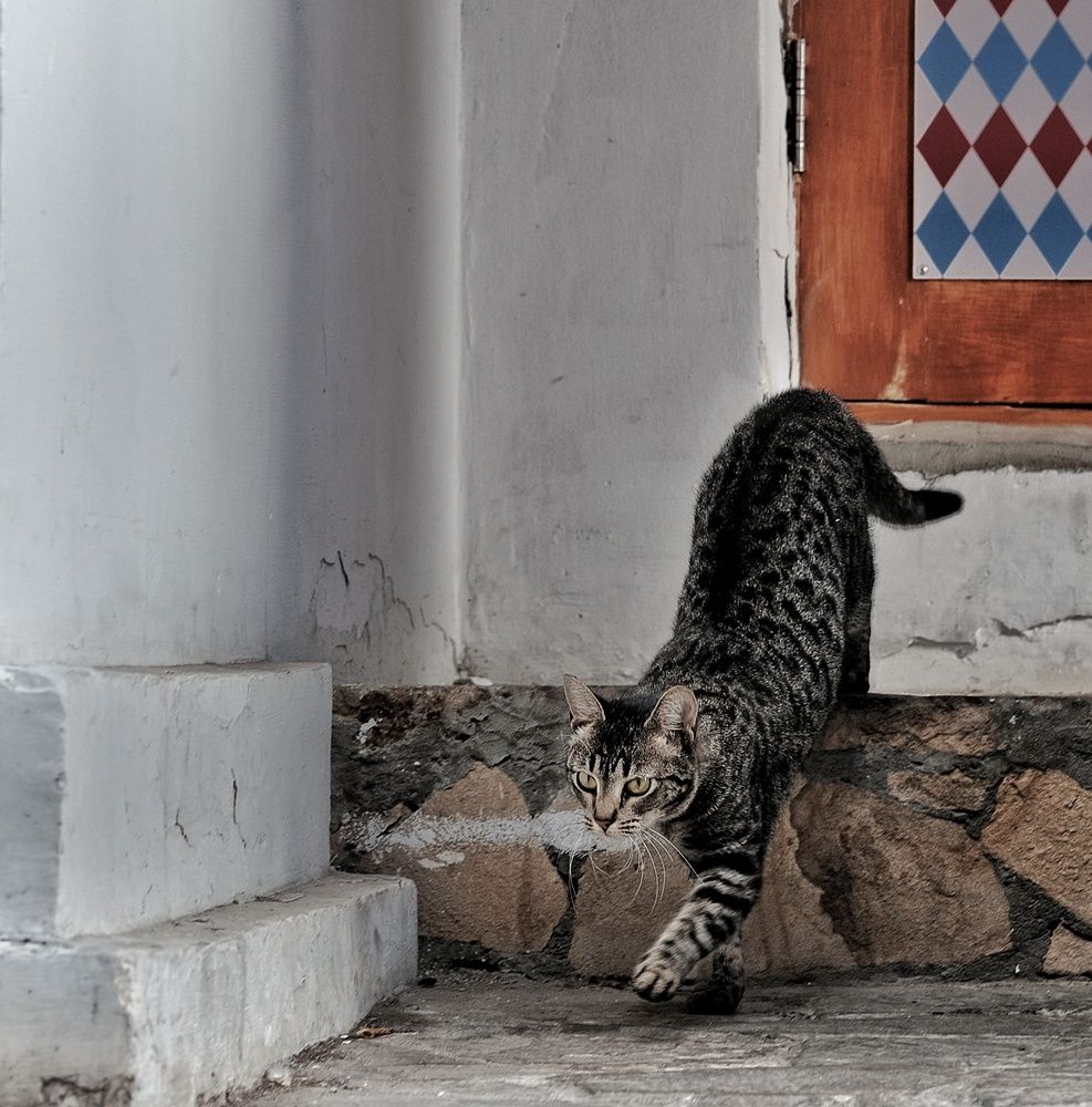 Photograph by Сергей Кошин