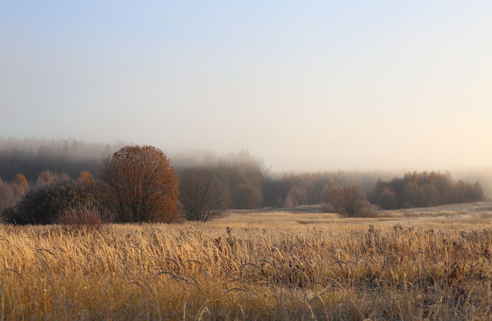 Фотография автора Илья Заикин