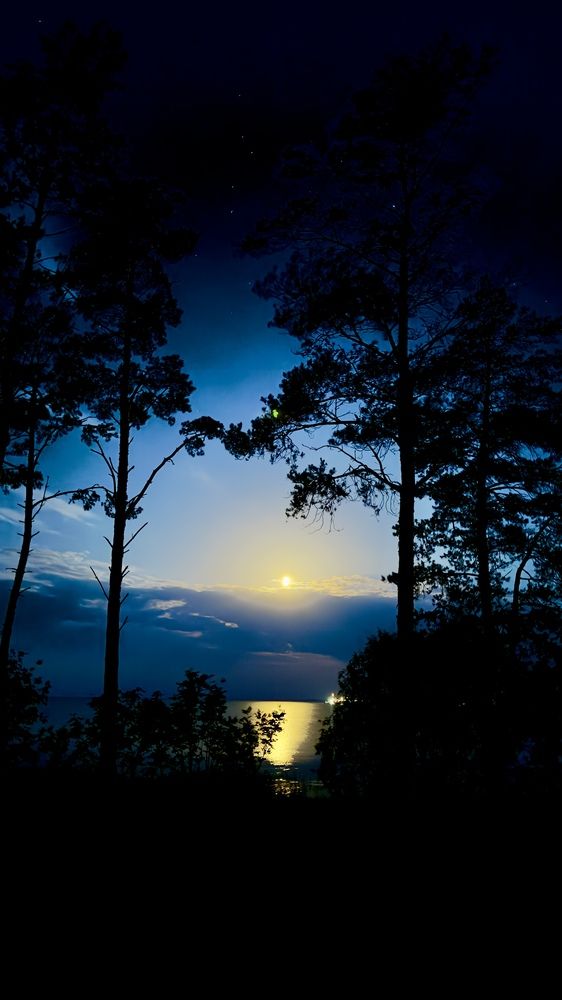 Photograph by 