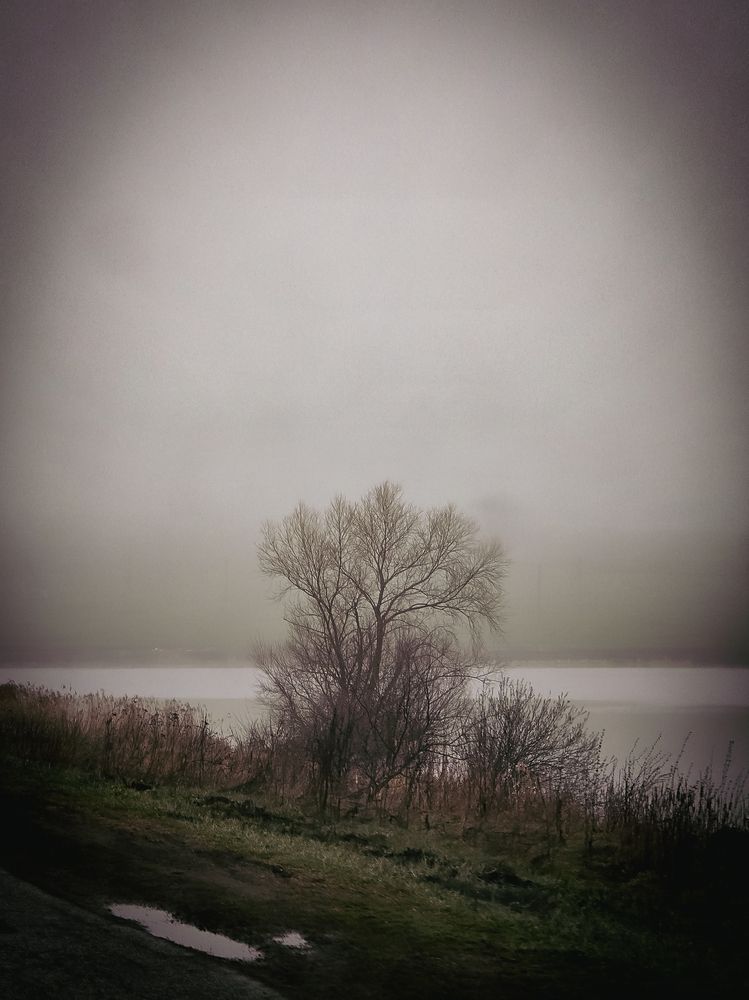 Photograph by Елена Сиушова