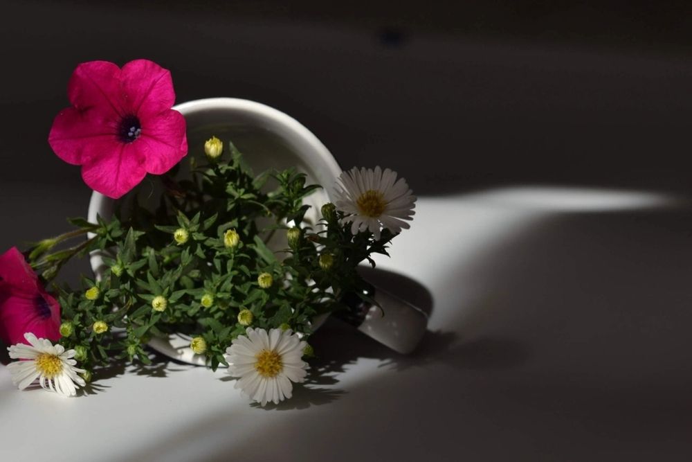 Photograph by Елена Дубовикова