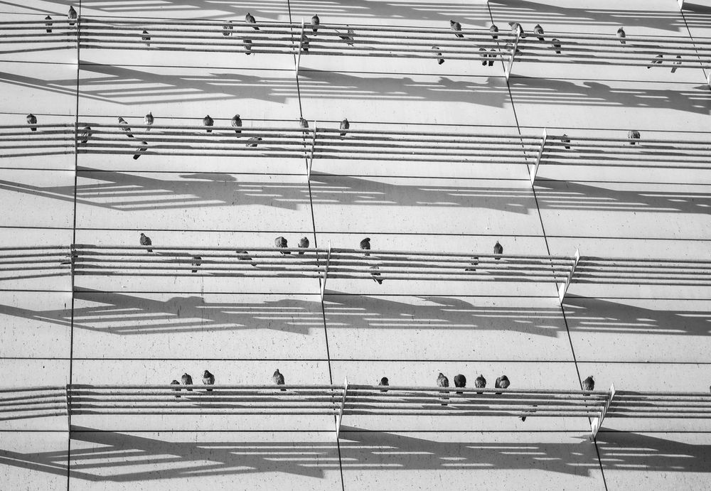 Photograph by Александр Кочергин