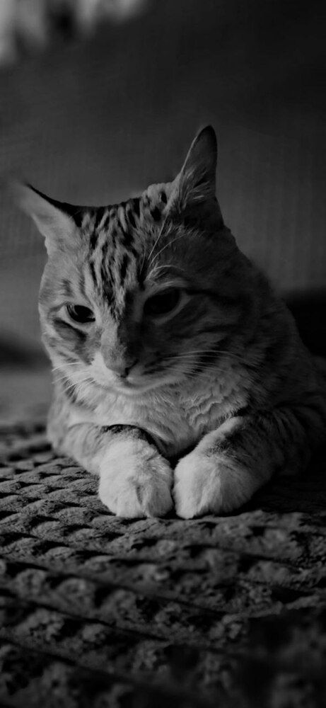 Фотография автора Amalazy Zim