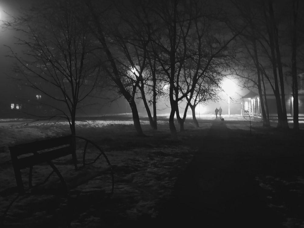 Фотография автора OXANA NAUMOVA