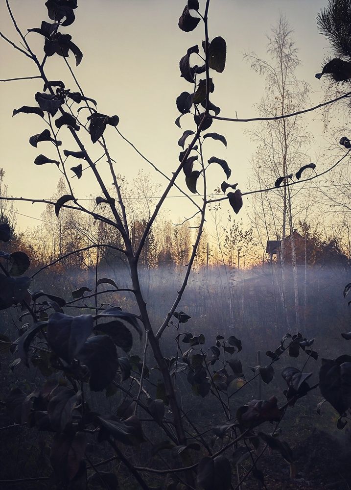 Фотография автора Евгения Владимировна