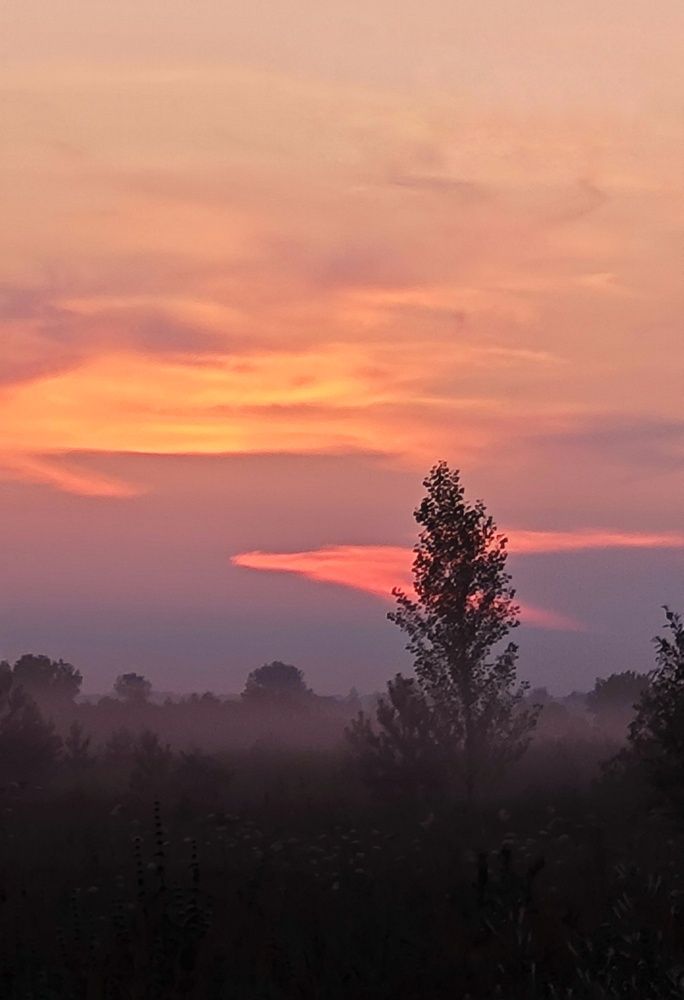Фотография автора Евгения Владимировна