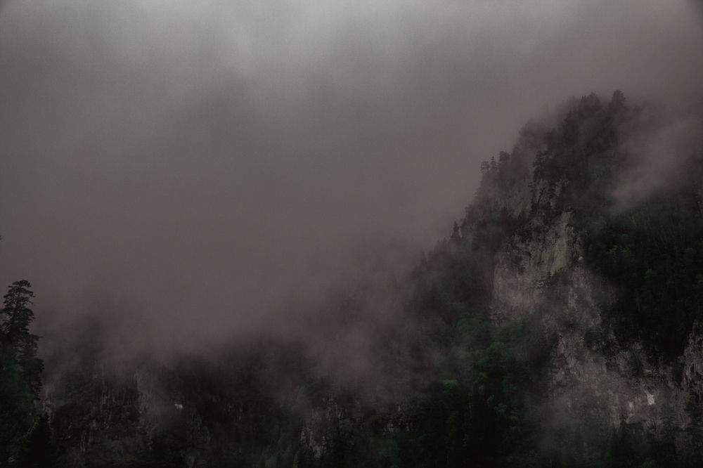 Фотография автора OXANA NAUMOVA