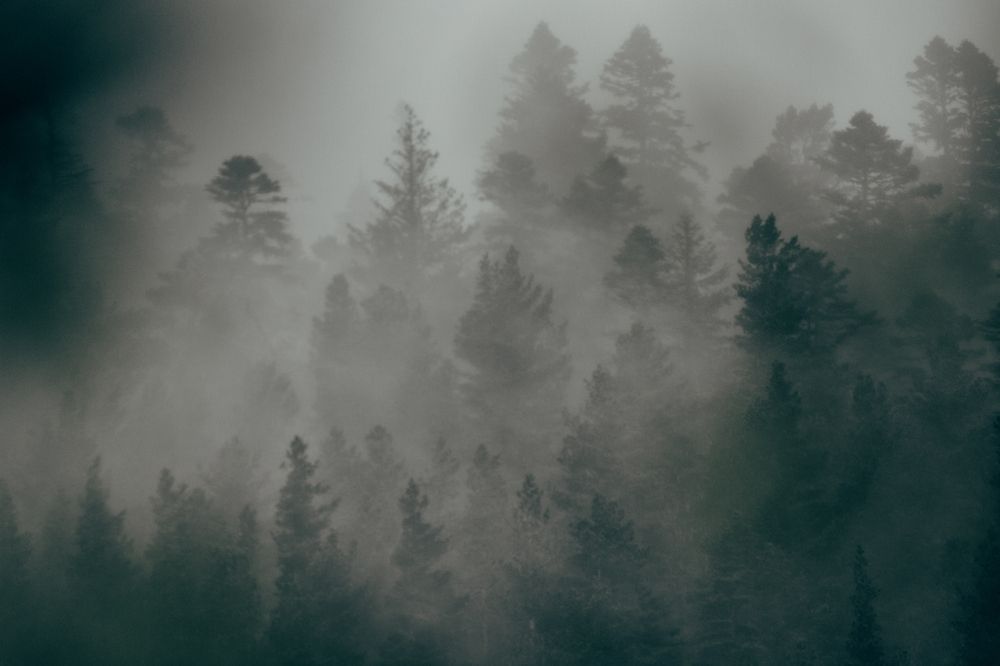 Фотография автора OXANA NAUMOVA