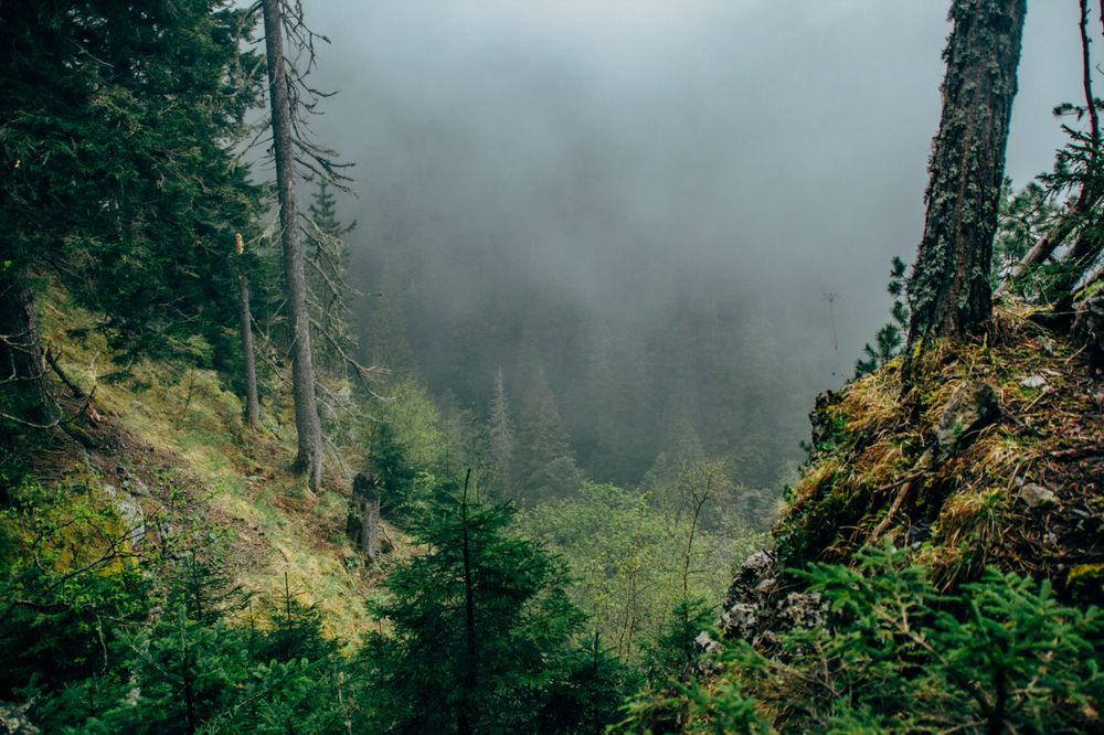 Фотография автора OXANA NAUMOVA