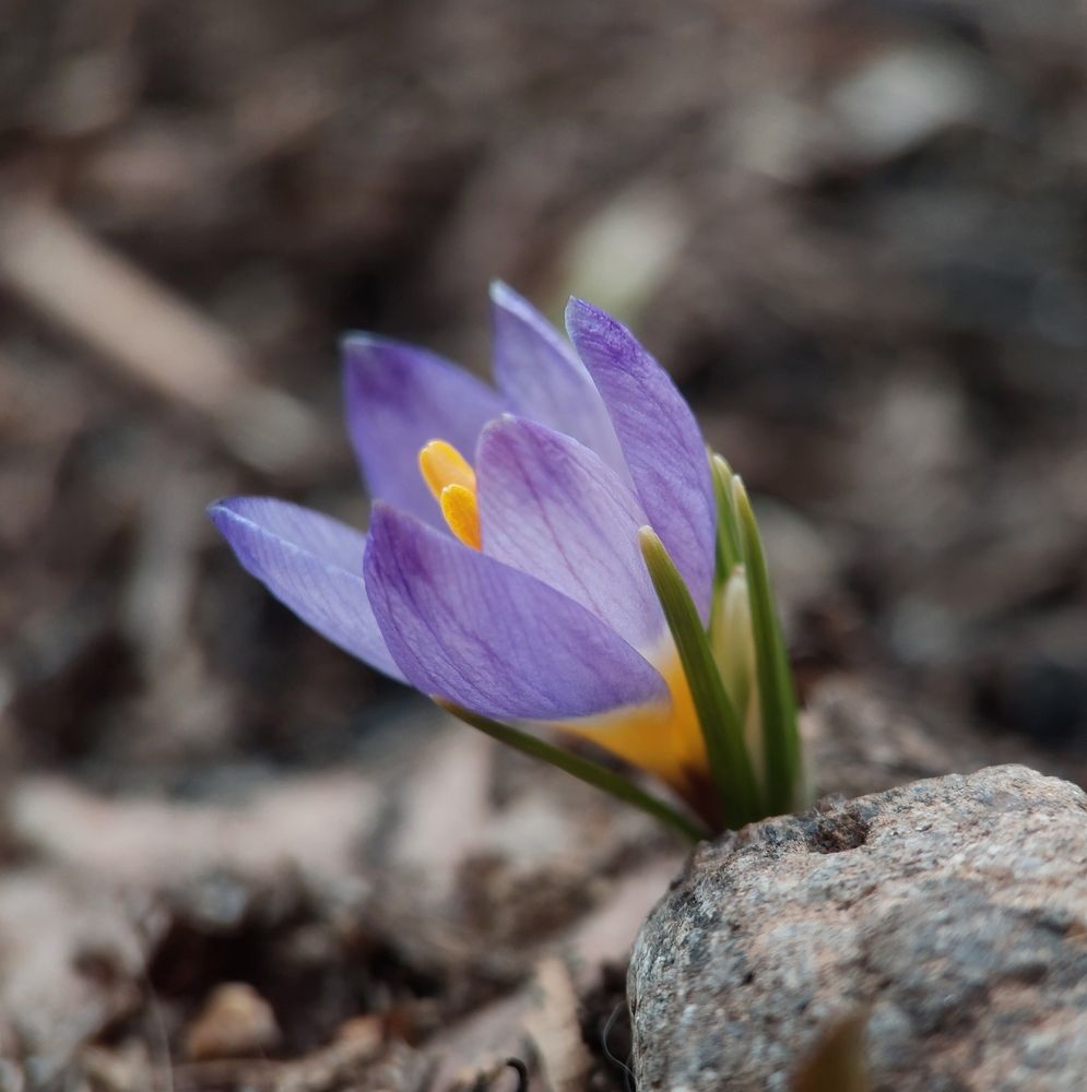 Photograph by Данила Черезов