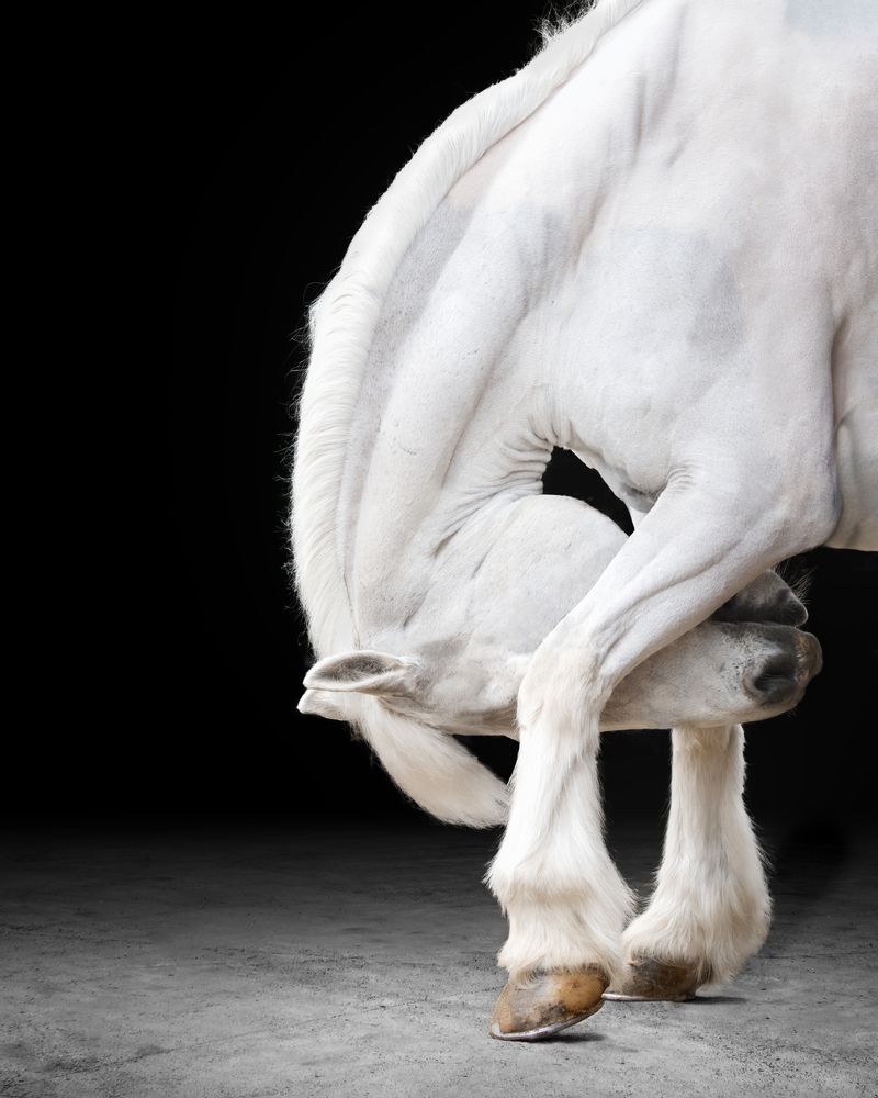 Photograph by Natalie Taylor