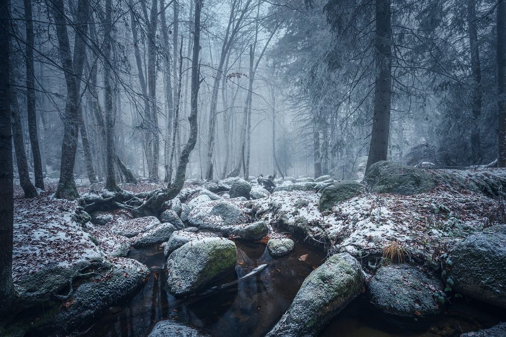 Photograph by Александър Александров