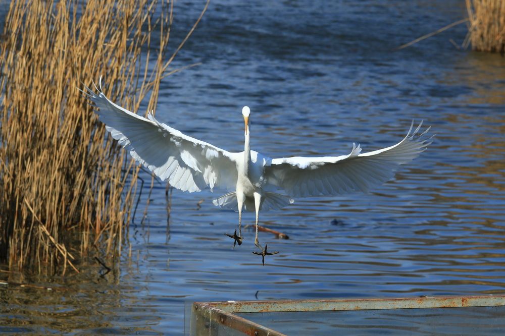 Фотография автора Сергей Кульков