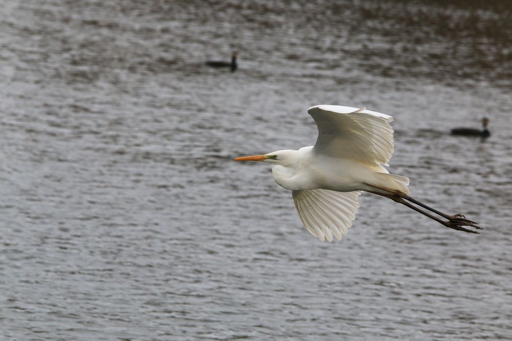 Фотография автора Сергей Кульков