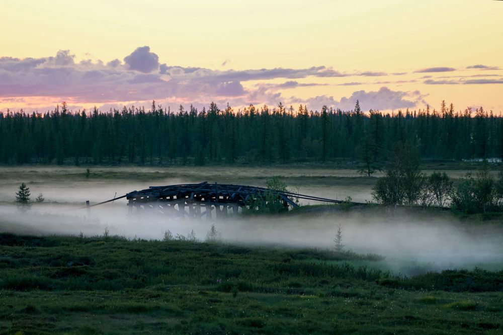 Фотография автора Viktoriya Kim