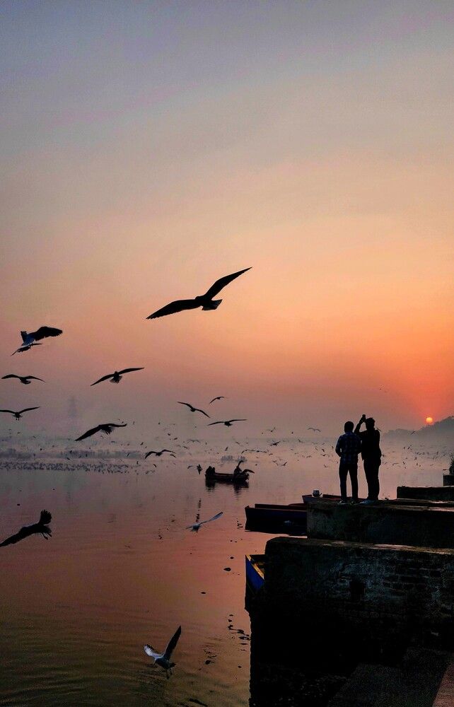 Photograph by G GOVIL