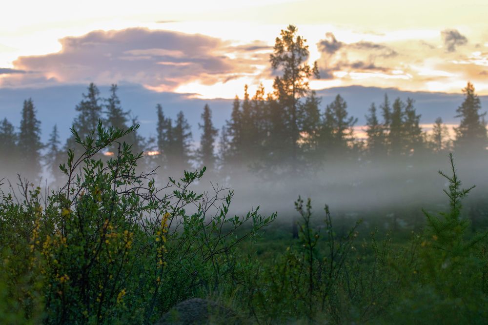 Фотография автора Viktoriya Kim