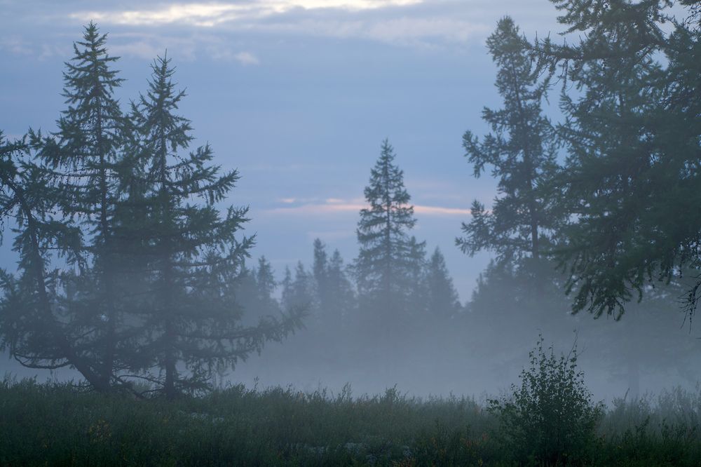 Фотография автора Viktoriya Kim