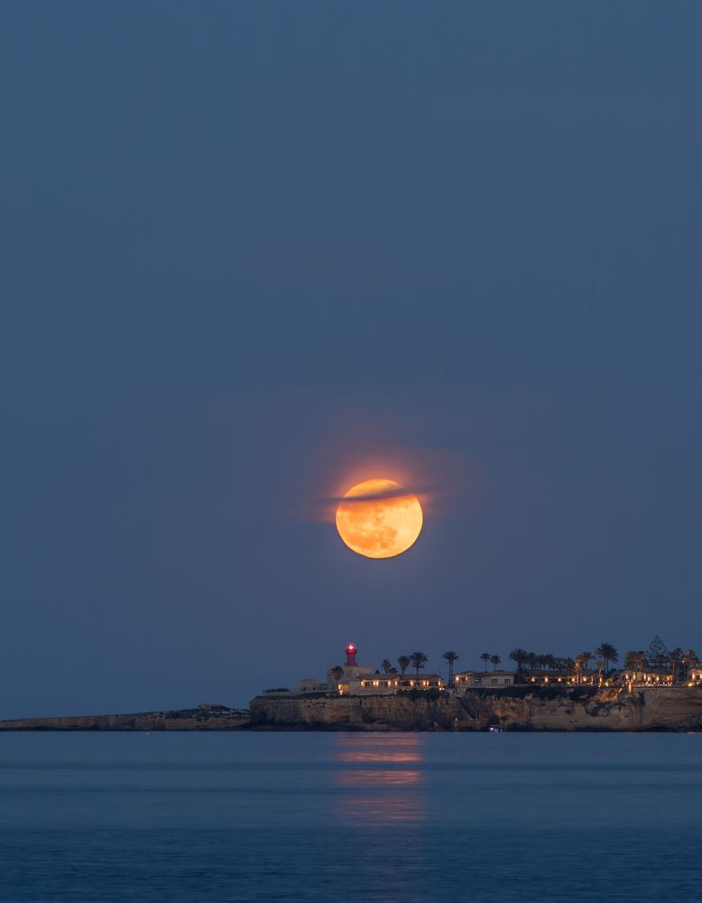 Photograph by Salvatore Di Maria