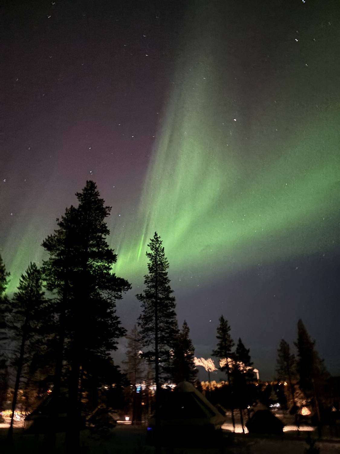 Photo #12122841