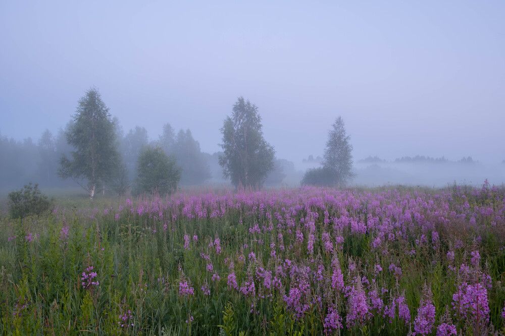 Photograph by Олег Дорошенко