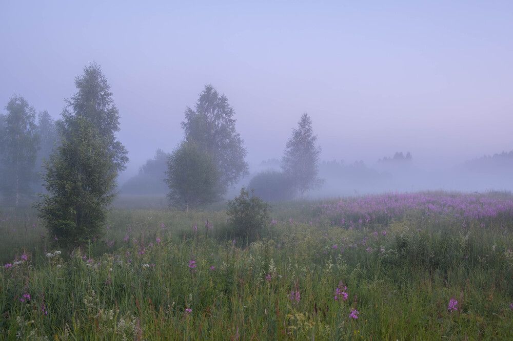 Photograph by Олег Дорошенко
