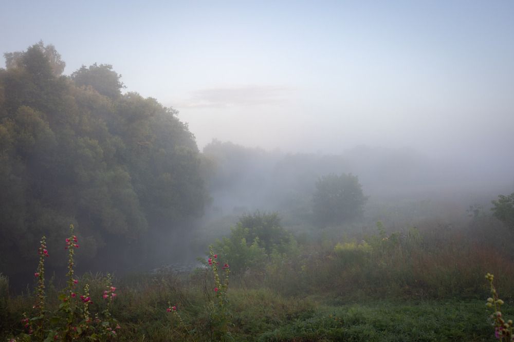 Photograph by Олег Дорошенко