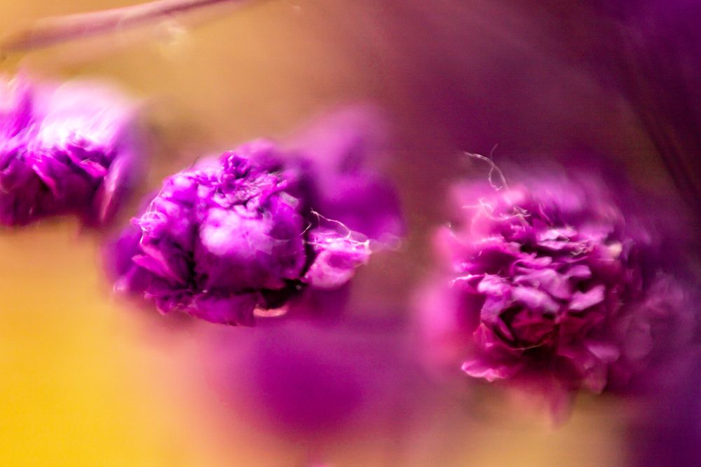 Photograph by Мария Андреевна