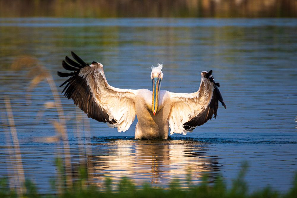 Photograph by Георгий